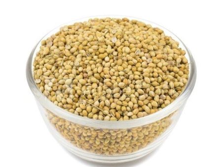 Coriander   Dhania Seeds Discount