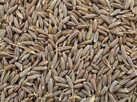 Cumin Seeds - Natural & Healthy Spices Whole Jeera Seeds | Sabut Jeera Discount