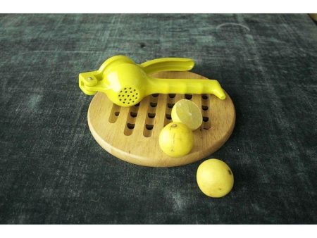 Citrus Juicer Lemon Squeezer Fashion