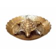 Tortoise with Small Brass Plate Online Sale