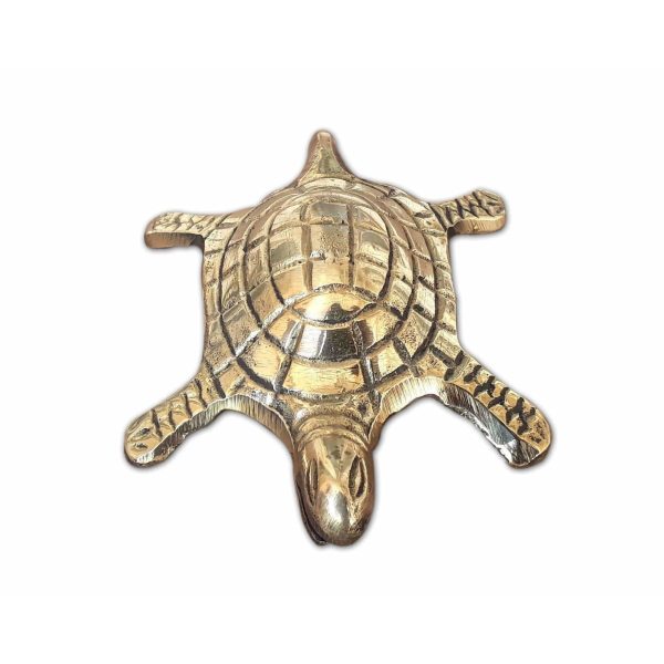 Tortoise with Small Brass Plate Online Sale